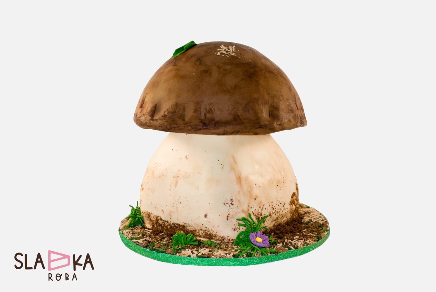 3-d torte, goba, torte po narocilu, sladka roba, ribnica